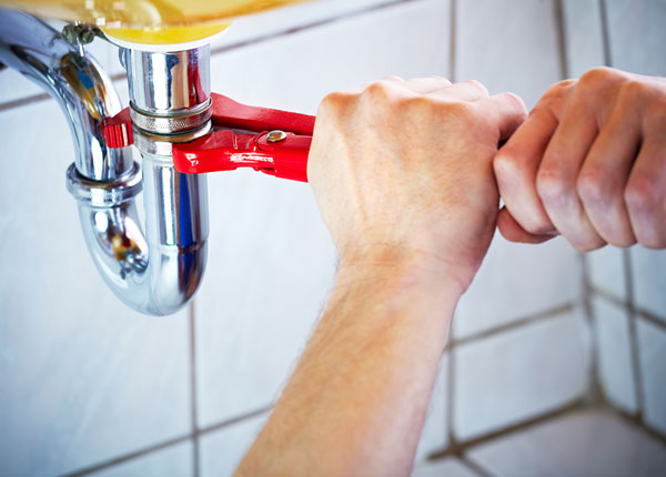 About Loyall Plumbers